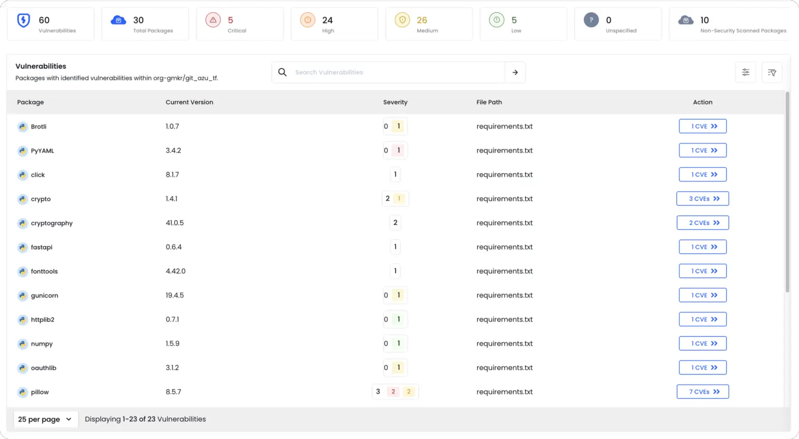 Software Vulnerability Detection & CVE